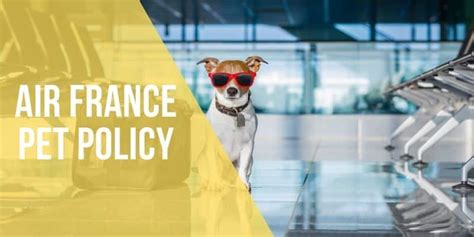 air france pet policy guide.